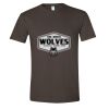 Softstyle® T-Shirt Thumbnail